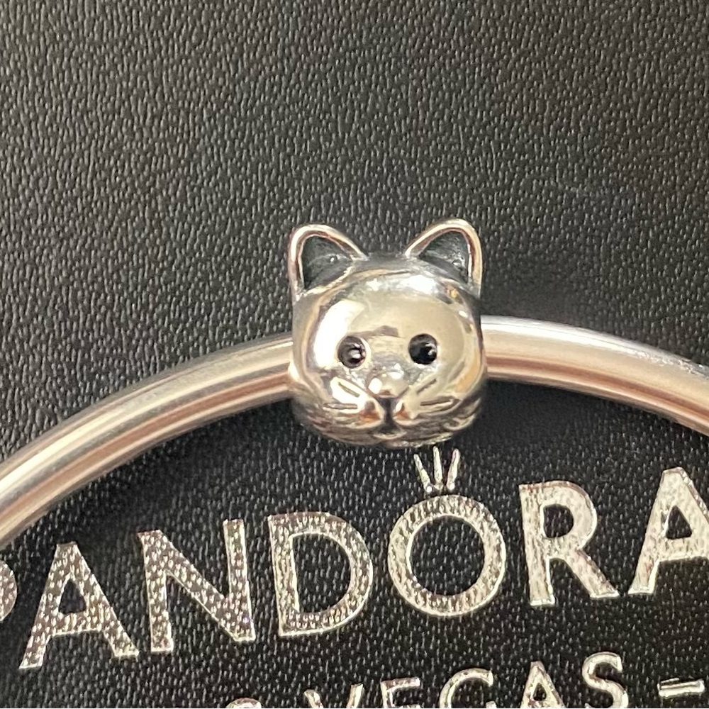 Pandora Charm